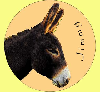 Asinella Eselshop M&uuml;nze Walli